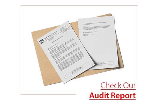 audit-report