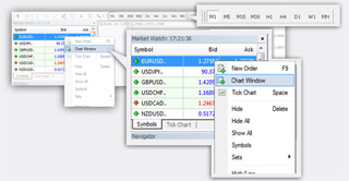 Forex platform currency pair and the time frame